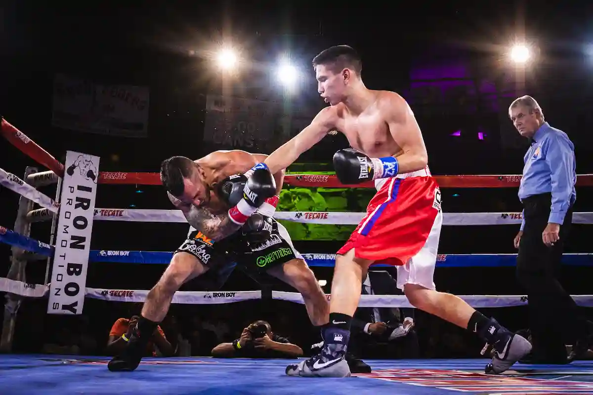 Boxeador Out-Boxer