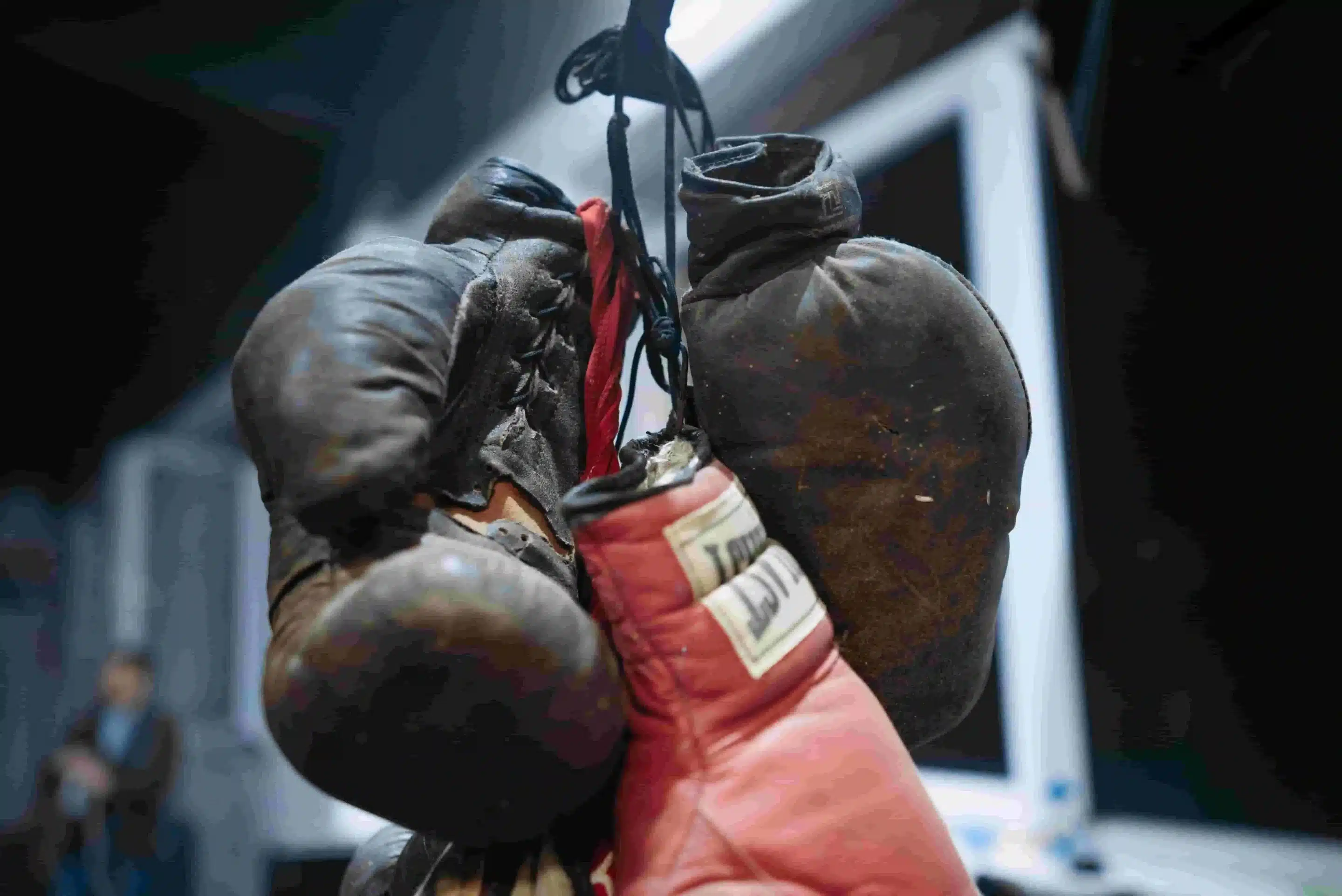 Guía para Elegir Guantes de Boxeo