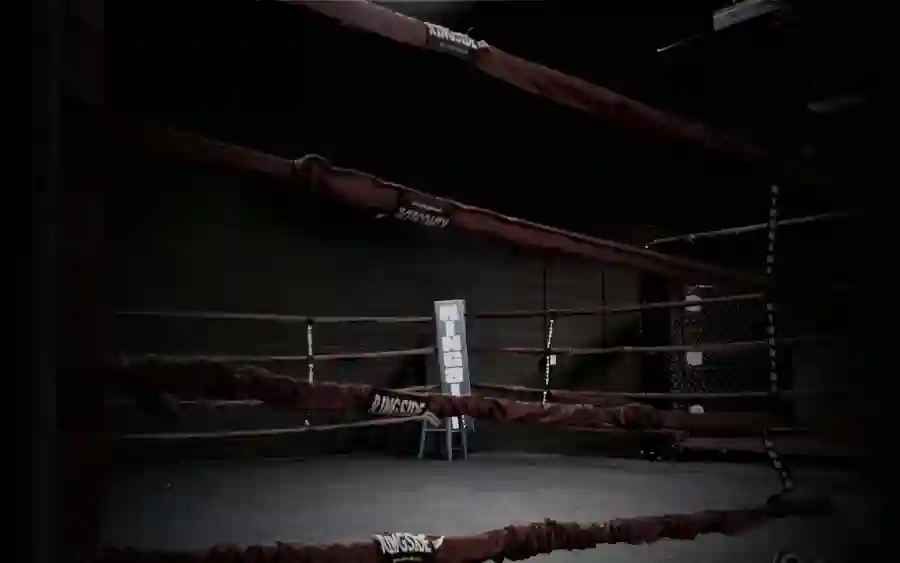 cool-boxing-