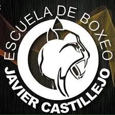 logo-javier-castillejo