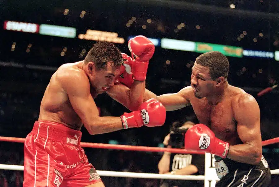 mosley-punches-oscar-de-la-hoya